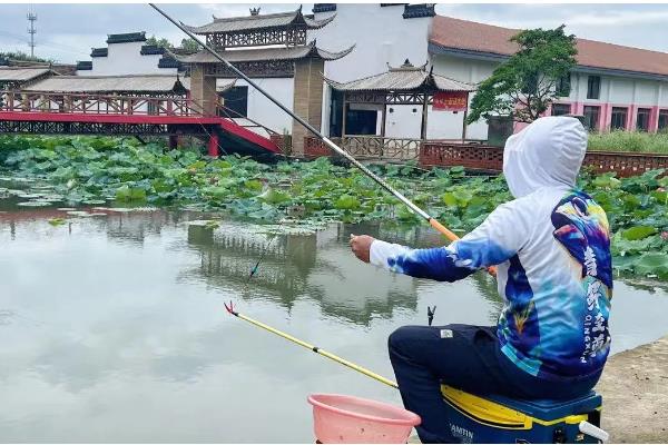 垂钓淡水白鲳的鱼饵用什么味型，选择腥饵可以激发它的摄食积极性