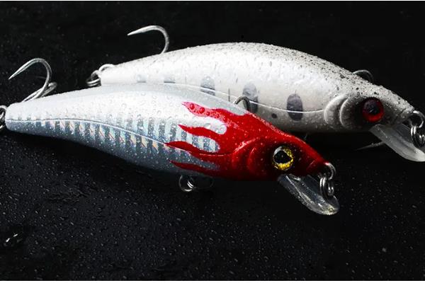 垂钓淡水白鲳的鱼饵用什么味型，选择腥饵可以激发它的摄食积极性