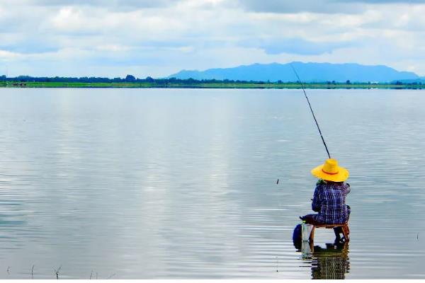 垂钓淡水白鲳的鱼饵用什么味型，选择腥饵可以激发它的摄食积极性