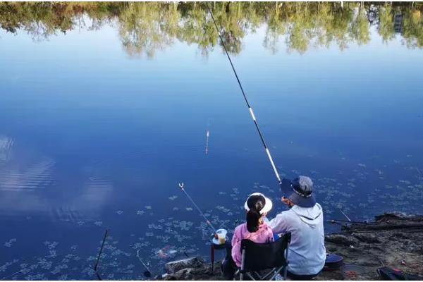 垂钓淡水白鲳的鱼饵用什么味型，选择腥饵可以激发它的摄食积极性