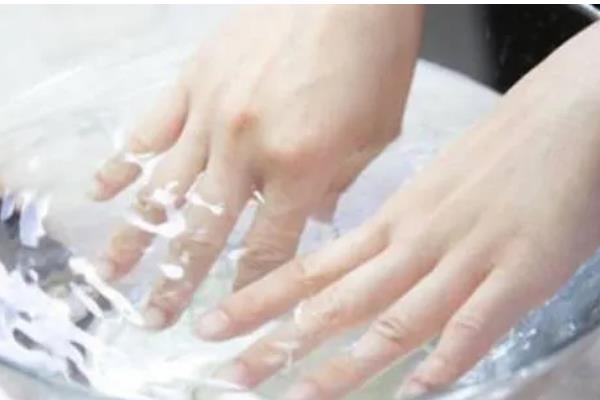 滴水观音有没有毒，毒素主要存在于汁液中