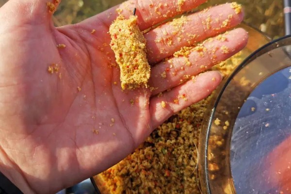 选择哪种诱饵捉野生泥鳅，米糠、麦麸、商品饵都可以使用