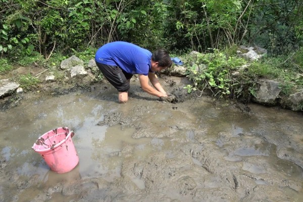选择哪种诱饵捉野生泥鳅，米糠、麦麸、商品饵都可以使用