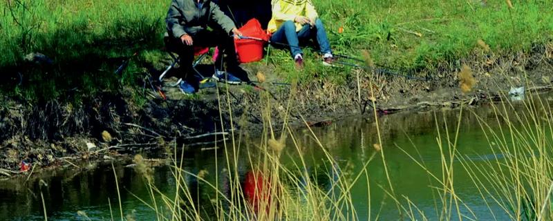 溪流竿和手竿的区别，长度与用途均不同