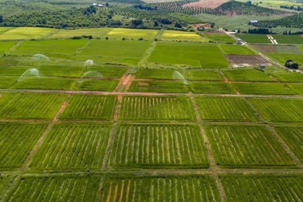 高标准农田的简介,从基本农田中划分出来