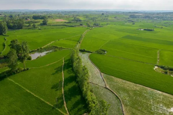 高标准农田的简介,从基本农田中划分出来