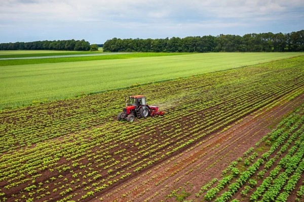 高标准农田的简介,从基本农田中划分出来