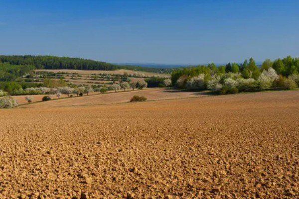 高标准农田的简介,从基本农田中划分出来