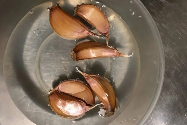 蒜苗为什么黄叶干尖,可能是重茬栽种的缘故