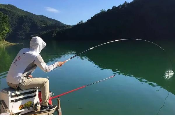 溪流竿和手竿的区别,长度与用途均不同