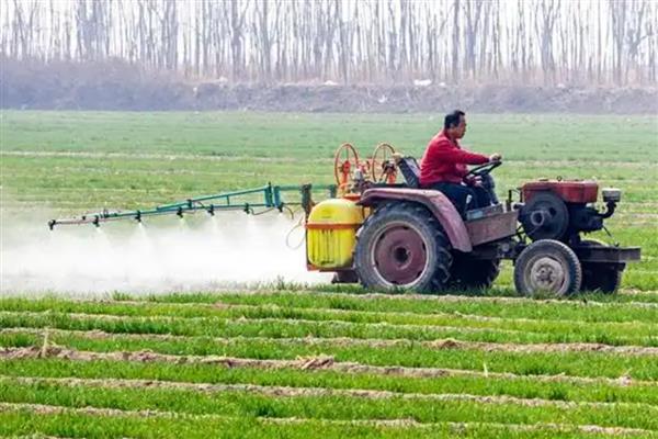 冬小麦怎么种植，返青期要追施复合肥