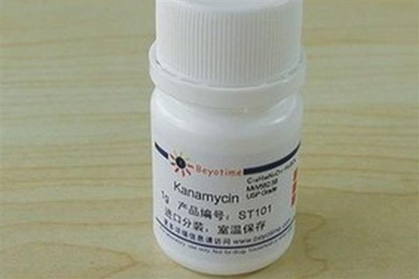 新生小牛喘如何处理，心源性不需要特别治疗