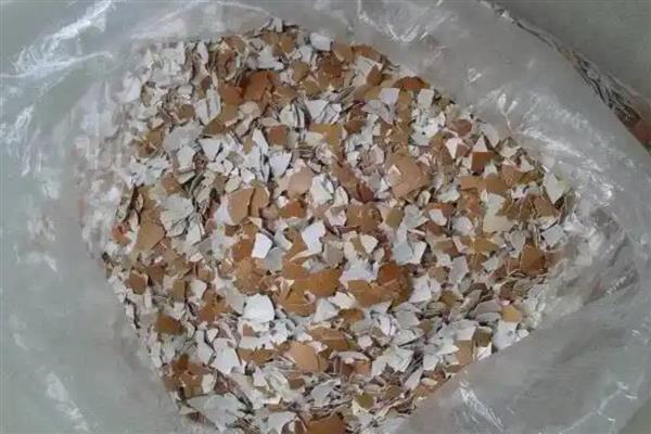 蛋壳能当肥料放进花盆吗，蛋壳能当花肥