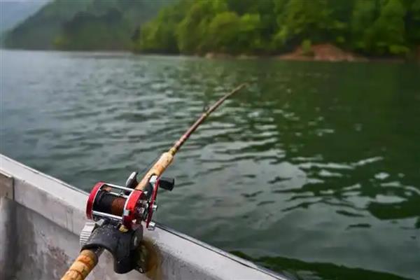 入门级桥筏竿推荐，推荐竹山筏、江南筏等