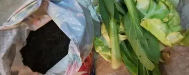 肥料袋的制作方法，将水果菜叶拌入土中再扎进袋口