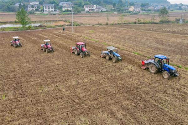 柴胡地里白蒿打哪种药，可选择草甘膦、克无踪等