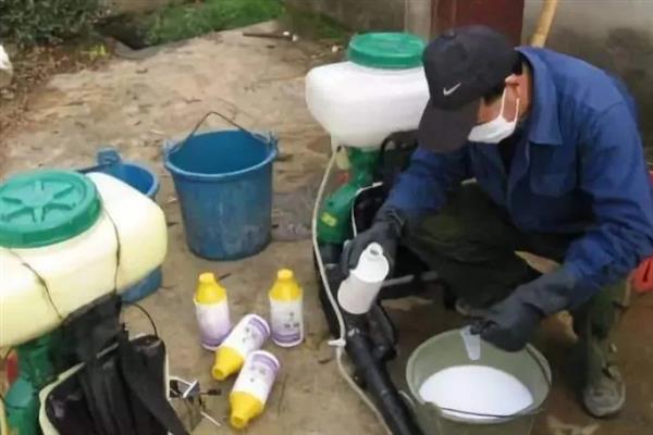 柴胡地里白蒿打哪种药，可选择草甘膦、克无踪等