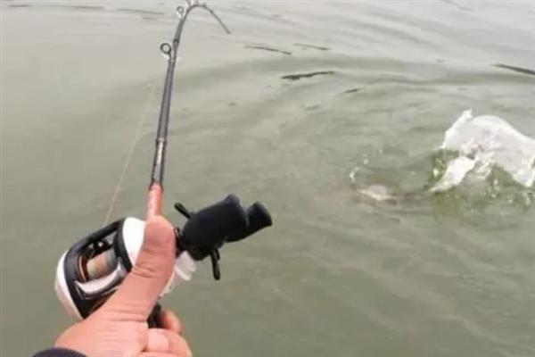 m调和ml调路亚竿适合钓哪些鱼类,m调可垂钓除黑鱼以外的其它大部分鱼类