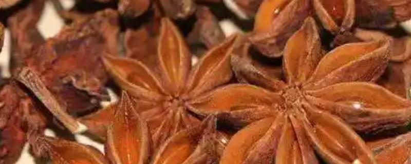 广西百色市凌云县的特产，凌云白毫茶闻名中外