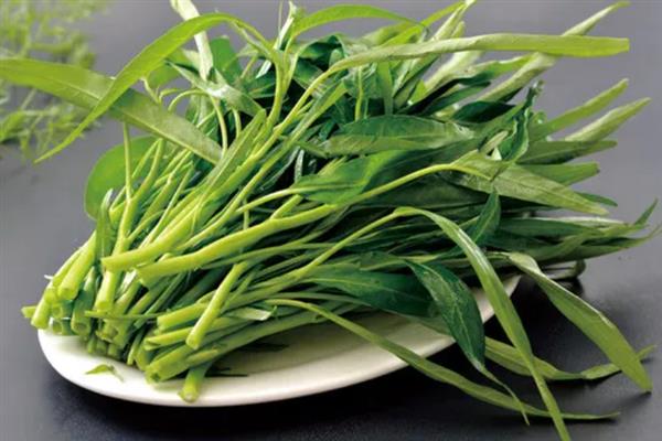 蕹菜是不是空心菜，蕹菜是空心菜