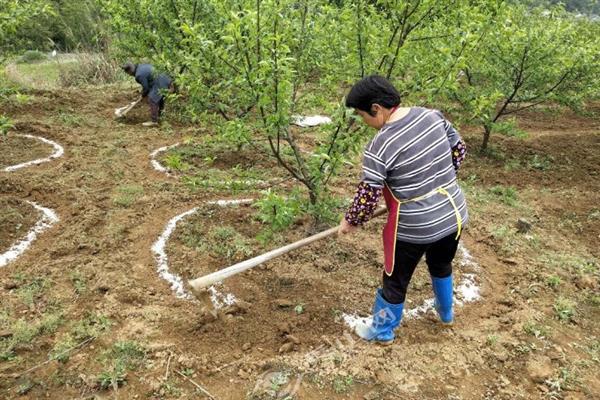 果树肥料施用技巧，需进行3改