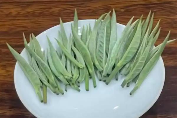 广西百色市凌云县的特产，凌云白毫茶闻名中外
