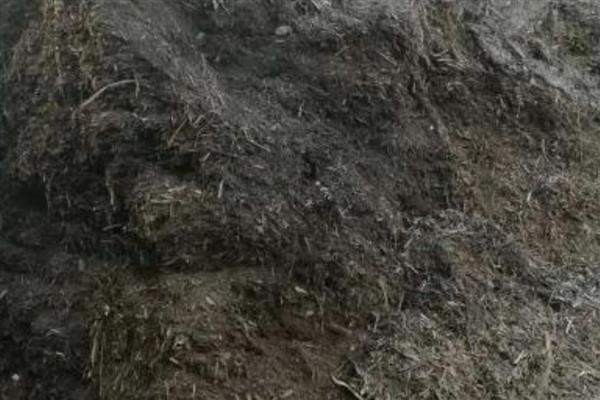 用牛粪发酵当作煤和沼气的替代品有什么好处，可节省电费、作为燃料使用能减少大气污染