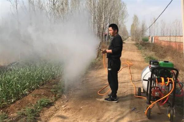 对蔬菜使用植物激素要注意什么，经过试验确定效果后才能大面积使用