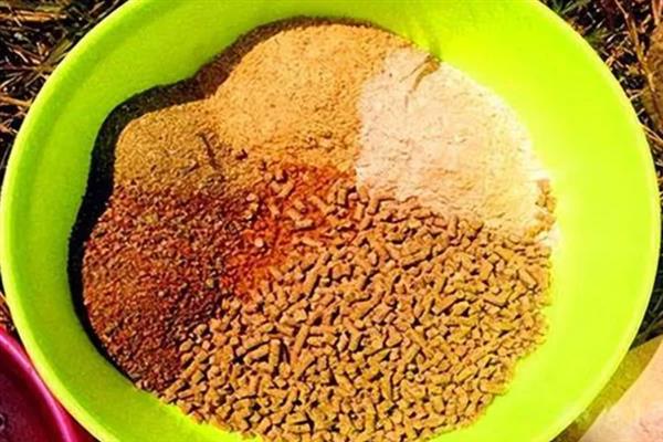 饵料搭配的原则，春腥、夏淡、秋香、冬浓