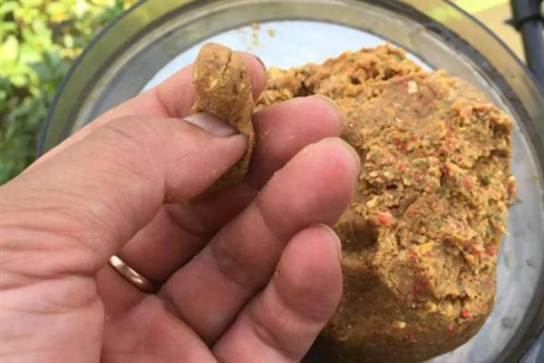 饵料搭配的原则，春腥、夏淡、秋香、冬浓