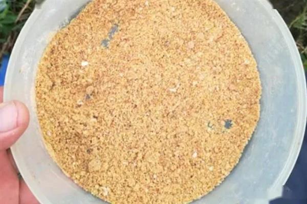 饵料搭配的原则，春腥、夏淡、秋香、冬浓