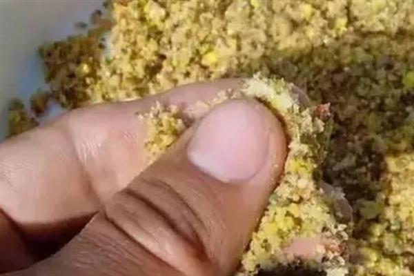 黄鳝笼适合放哪种诱饵，使用禽畜内脏、蚯蚓等饵料比较好