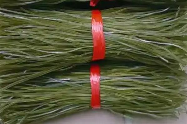 广西百色市凌云县的特产，凌云白毫茶闻名中外