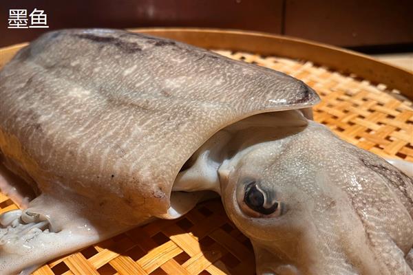 墨鱼鱿鱼和章鱼有什么区别，科属、外观、习性等方面均不同