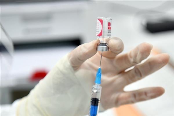 被刚产下的小猫抓伤如何处理，要在24小时内接种狂犬疫苗