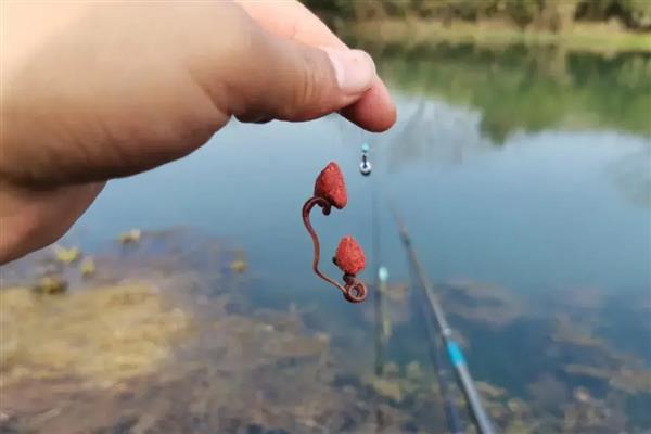 钓鱼用蚯蚓还是红虫，红虫更适合与商品饵搭配使用