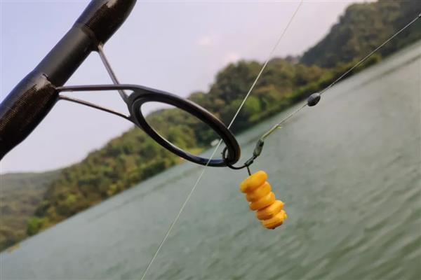 钓鱼用蚯蚓还是红虫，红虫更适合与商品饵搭配使用