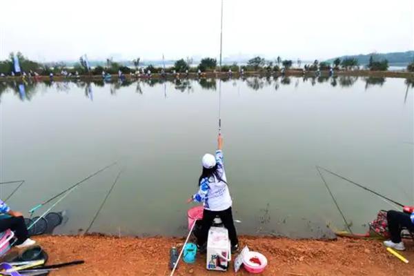 钓鱼用蚯蚓还是红虫，红虫更适合与商品饵搭配使用