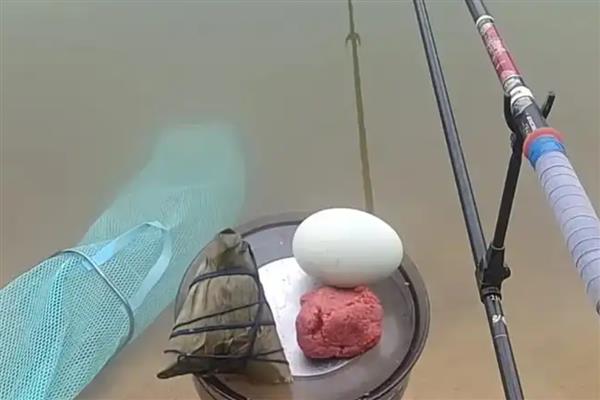 钓鱼用蚯蚓还是红虫，红虫更适合与商品饵搭配使用