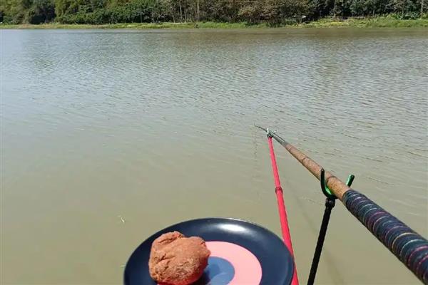 钓鱼用蚯蚓还是红虫，红虫更适合与商品饵搭配使用