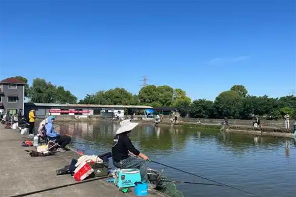 钓鱼用蚯蚓还是红虫，红虫更适合与商品饵搭配使用