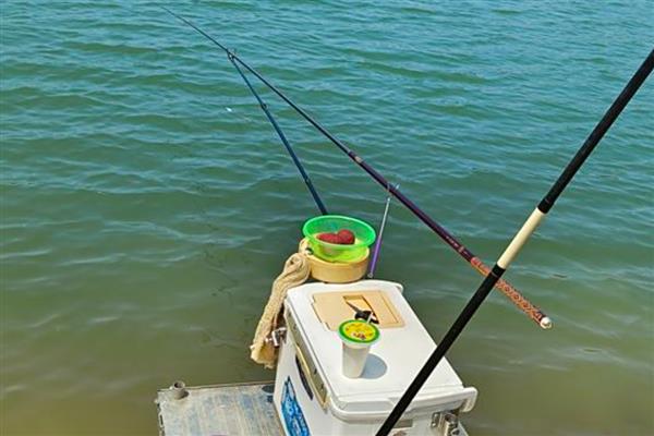 钓鱼用蚯蚓还是红虫，红虫更适合与商品饵搭配使用