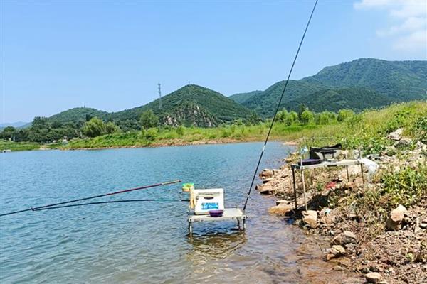 钓鱼用蚯蚓还是红虫，红虫更适合与商品饵搭配使用