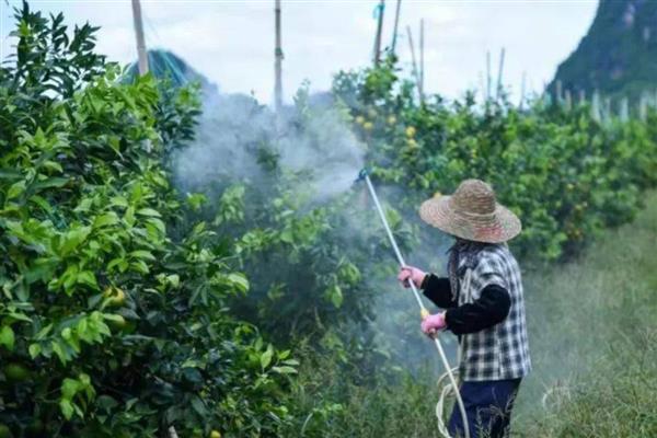 氯溴异氰尿酸如何使用，浸种浓度为500毫克/千克