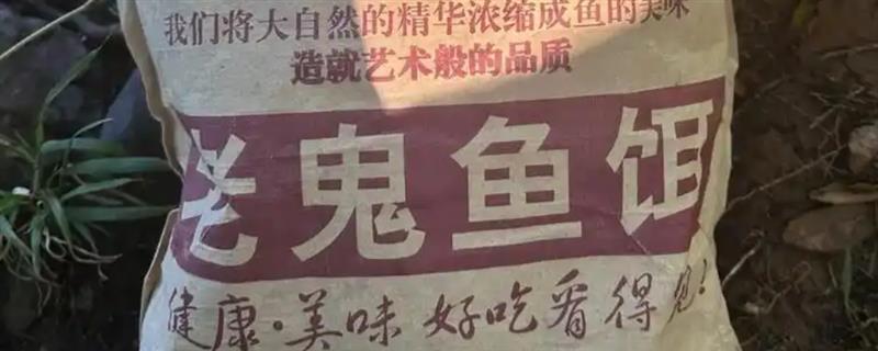 钓鱼饵料品牌排行榜，推荐老鬼、龙王恨等