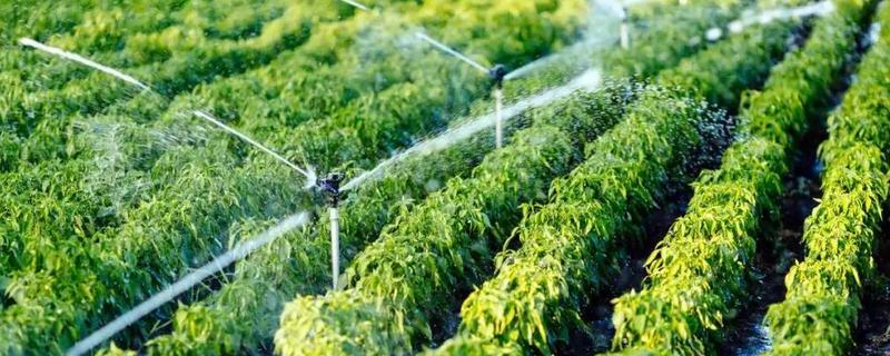 农业用水包括什么，包含用于灌溉和农村牲畜的用水