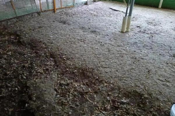 鸡粪怎么沤制，添加发酵剂后再建堆覆膜