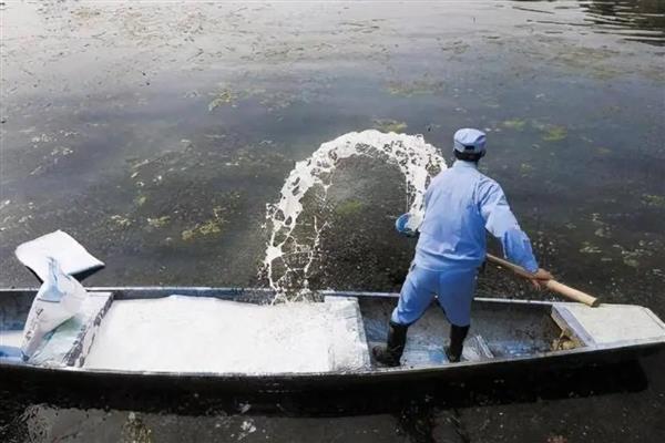各种海鲜怎么养殖，养龙虾要把水温保持在20℃左右