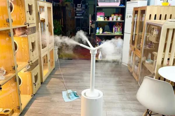 猫咪眼睛流脓睁不开如何处理，用生理盐水清洗眼睛并做好卫生工作