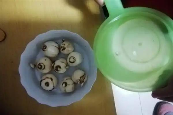 盆栽水仙花如何养护，每天要晒光10小时